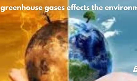 Two characteristics of atmospheric gases determine their greenhouse effect strength.