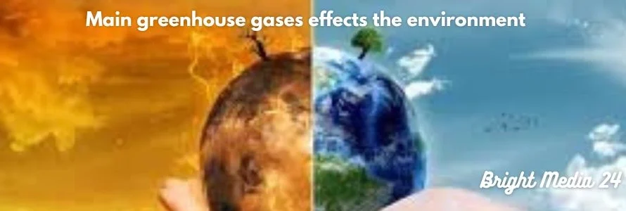 What are the main greenhouse gases?